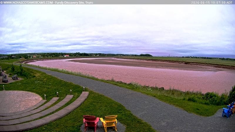Fundy Discovery Site