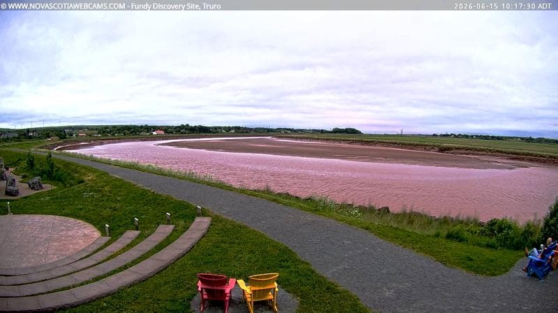 Fundy Discovery Site