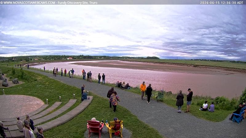 Fundy Discovery Site