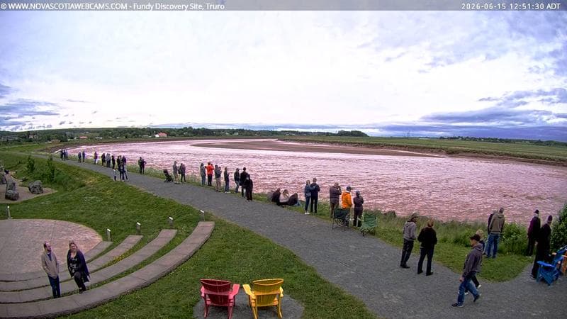 Fundy Discovery Site