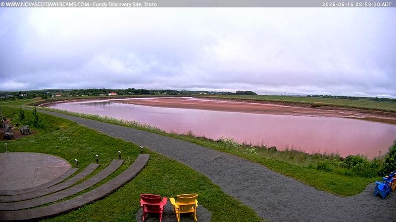 Fundy Discovery Site