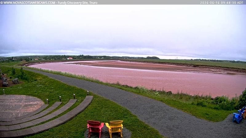 Fundy Discovery Site