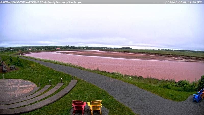 Fundy Discovery Site