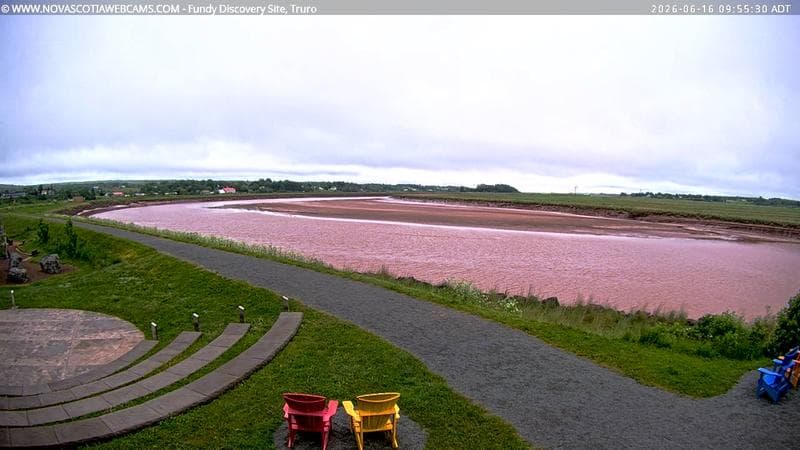Fundy Discovery Site