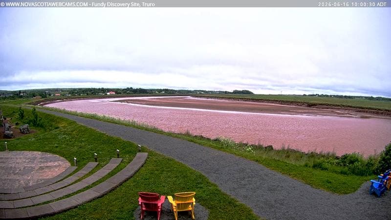 Fundy Discovery Site