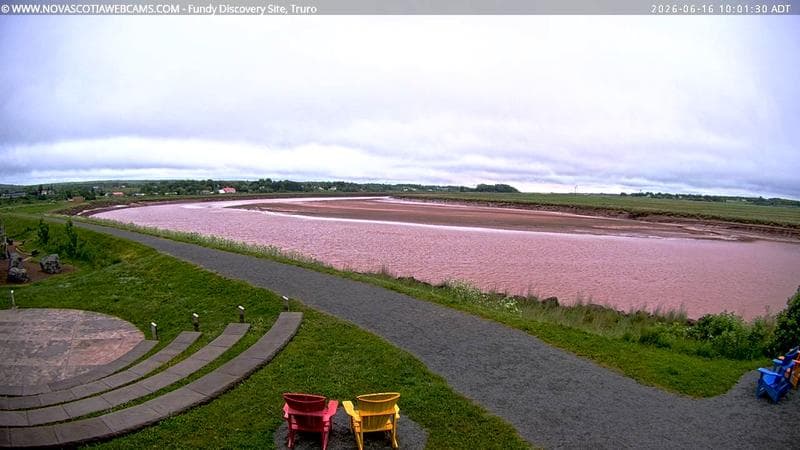 Fundy Discovery Site