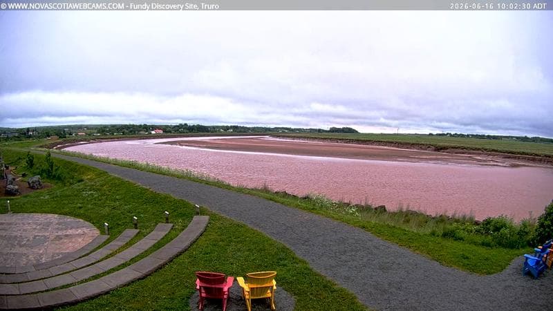 Fundy Discovery Site