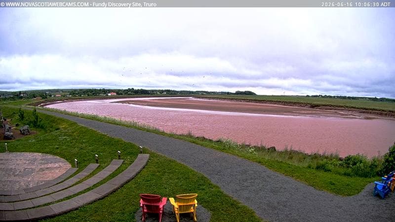 Fundy Discovery Site