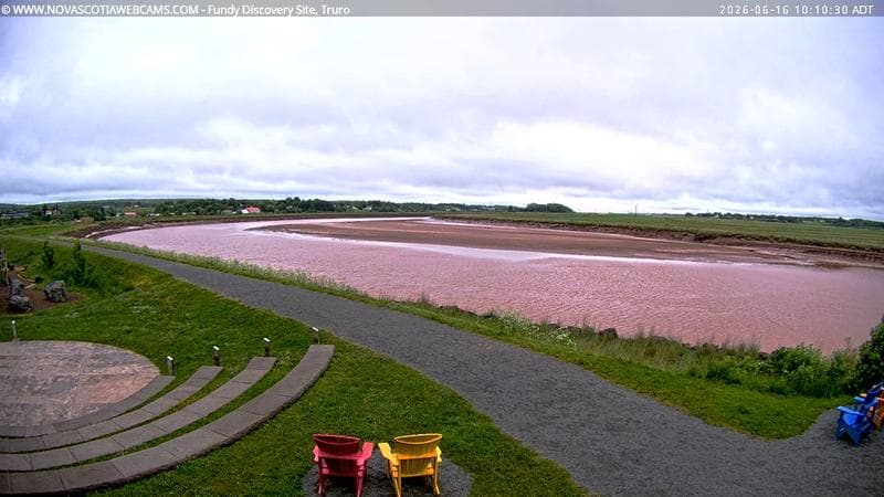 Fundy Discovery Site