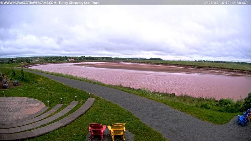 Fundy Discovery Site