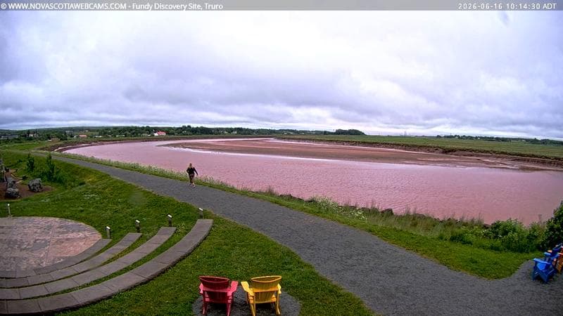 Fundy Discovery Site
