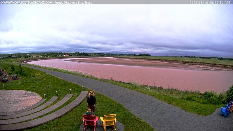 Fundy Discovery Site