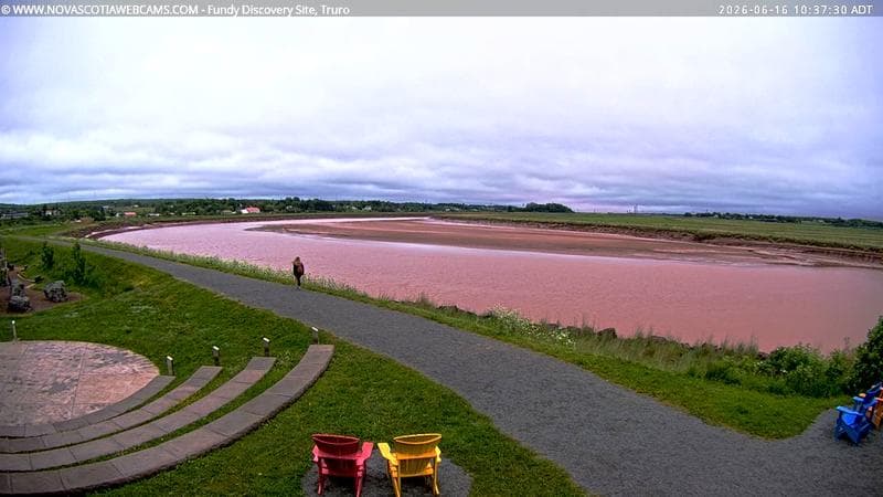 Fundy Discovery Site