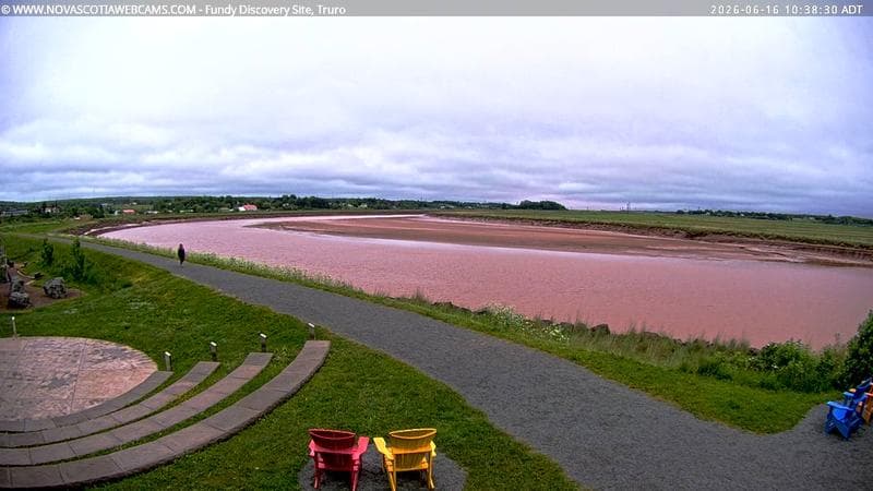 Fundy Discovery Site