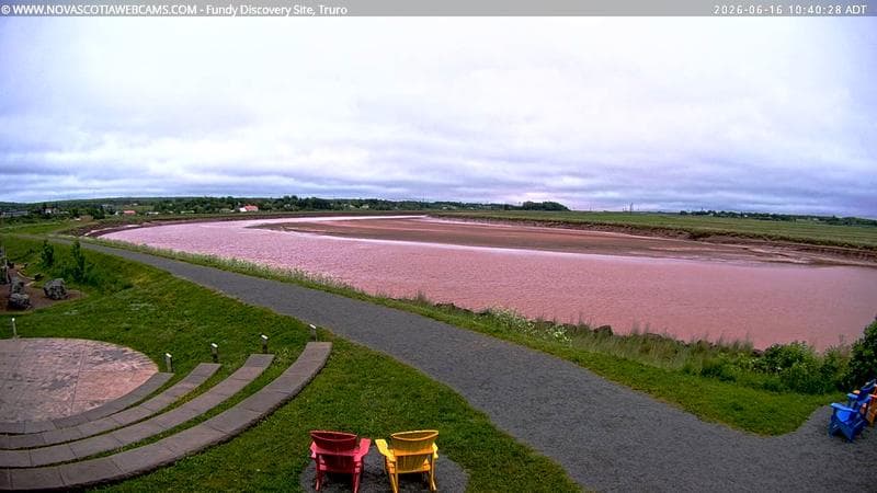 Fundy Discovery Site
