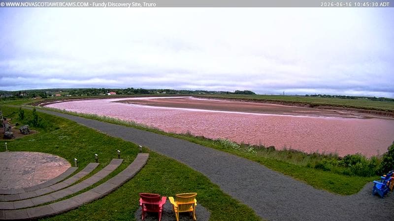 Fundy Discovery Site