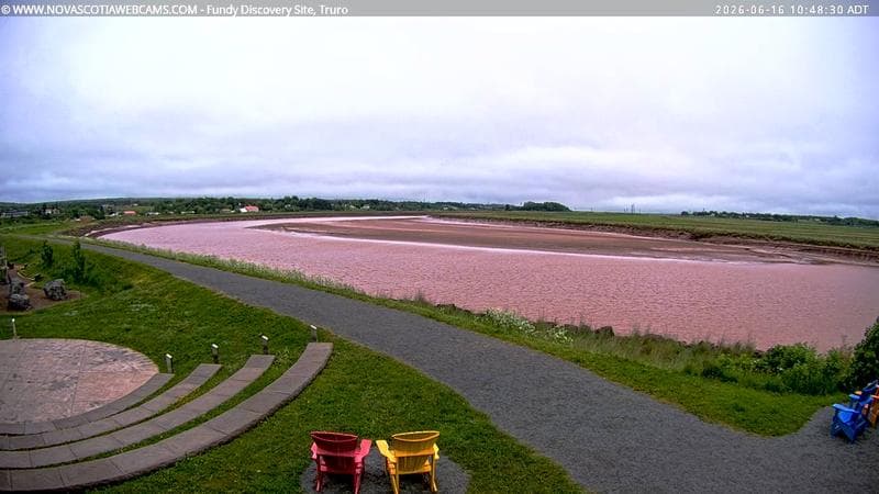 Fundy Discovery Site