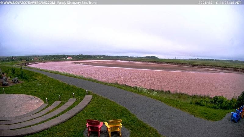Fundy Discovery Site