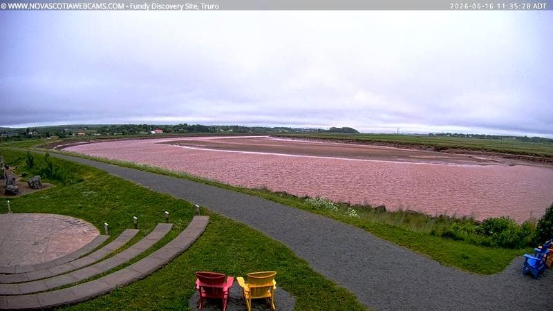 Fundy Discovery Site