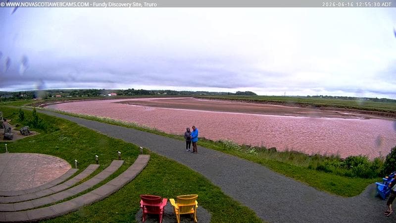 Fundy Discovery Site