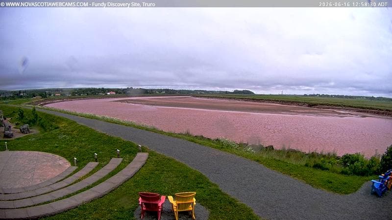 Fundy Discovery Site