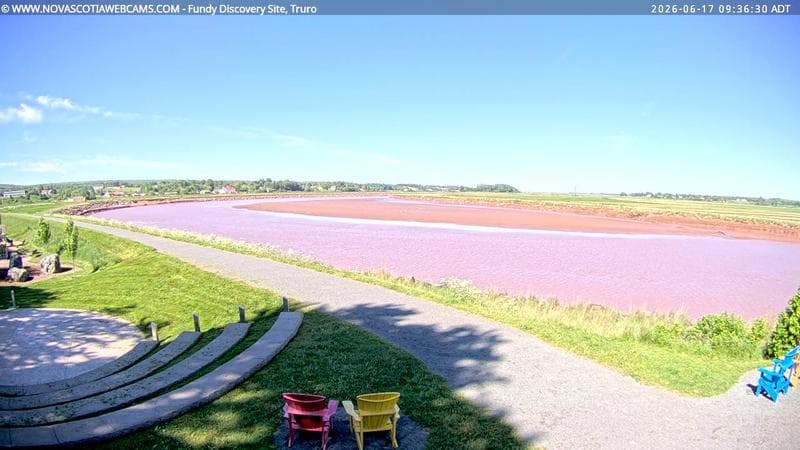 Fundy Discovery Site