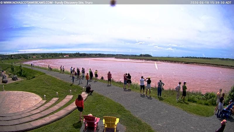 Fundy Discovery Site