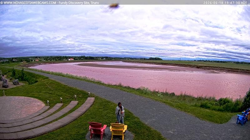 Fundy Discovery Site