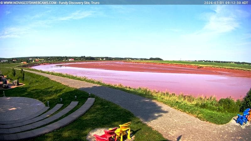 Fundy Discovery Site