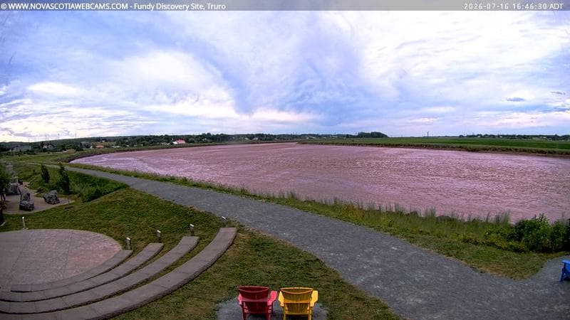 Fundy Discovery Site