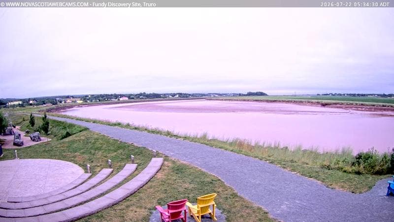 Fundy Discovery Site