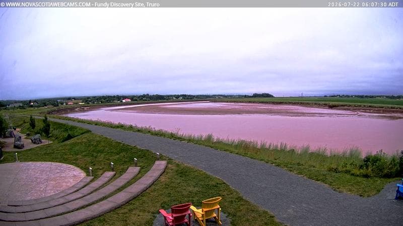 Fundy Discovery Site