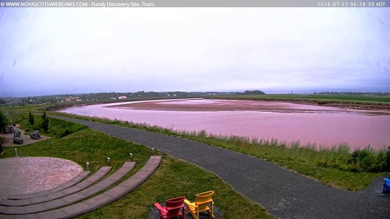 Fundy Discovery Site