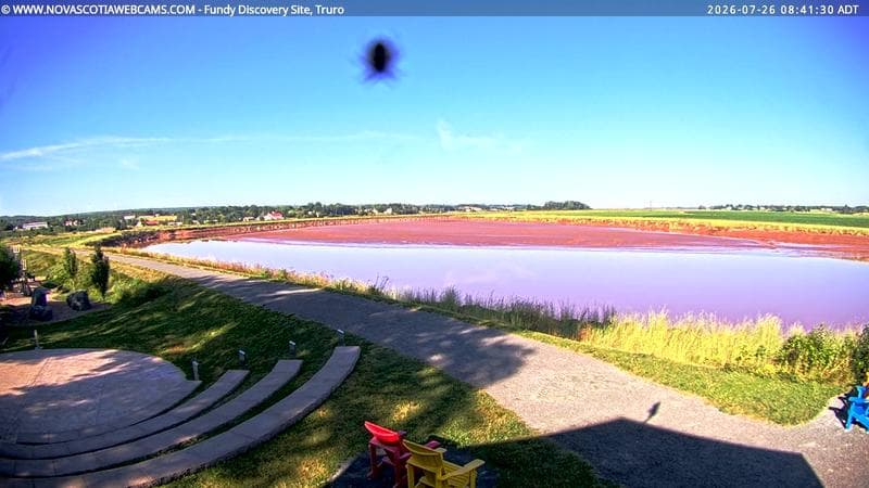 Fundy Discovery Site