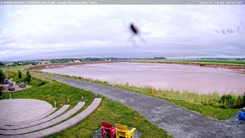 Fundy Discovery Site