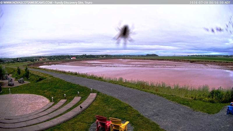 Fundy Discovery Site