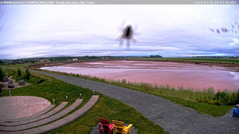 Fundy Discovery Site