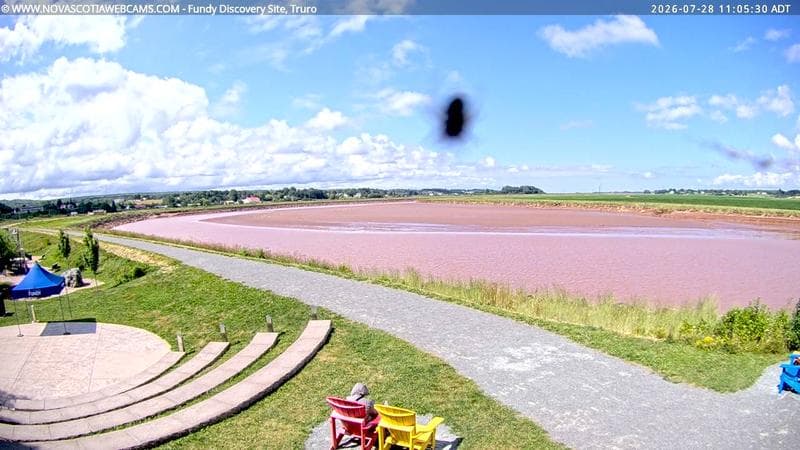Fundy Discovery Site