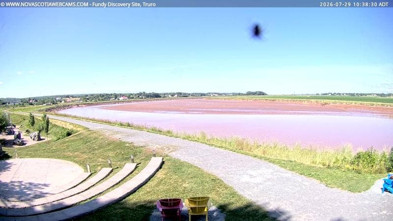 Fundy Discovery Site