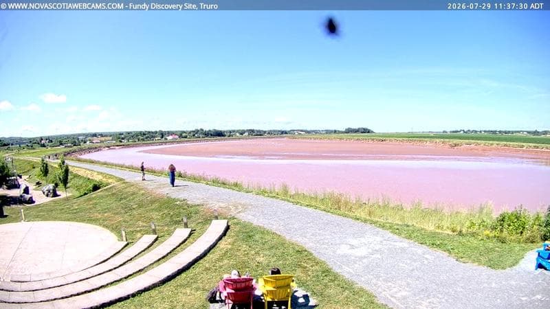 Fundy Discovery Site