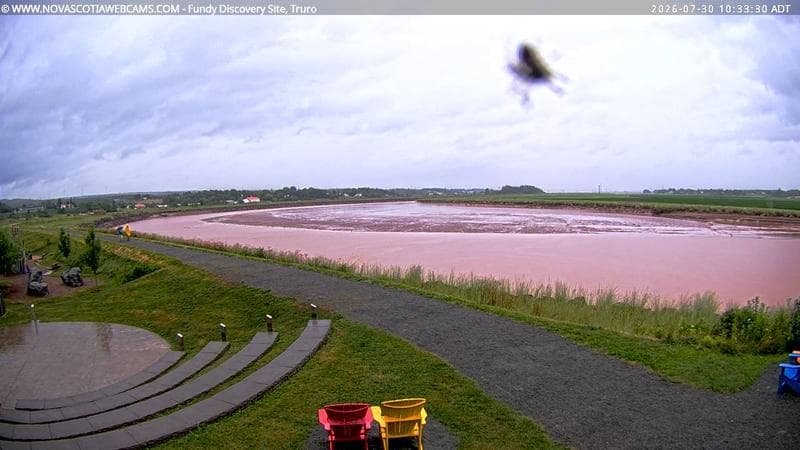 Fundy Discovery Site