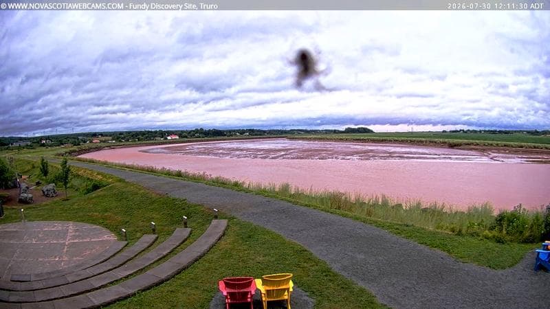 Fundy Discovery Site