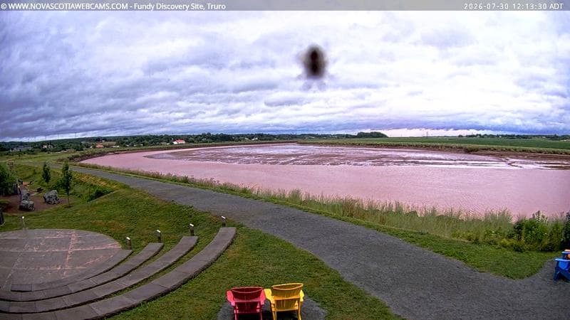 Fundy Discovery Site