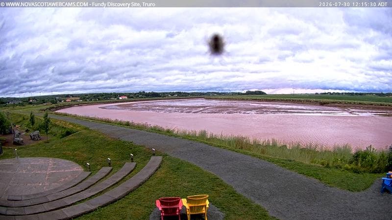 Fundy Discovery Site