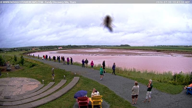 Fundy Discovery Site