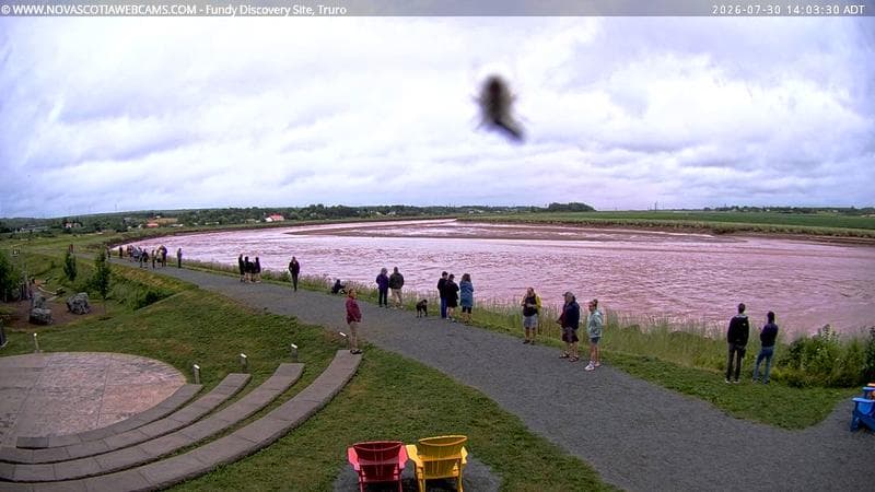 Fundy Discovery Site