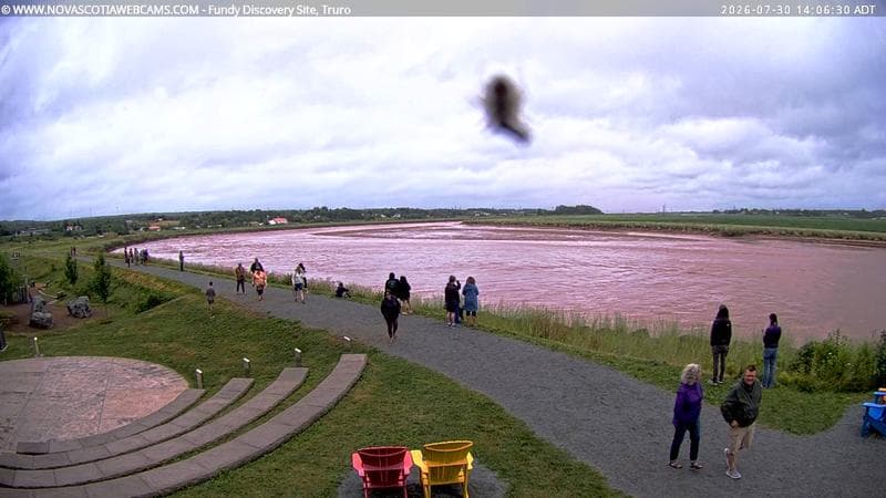 Fundy Discovery Site