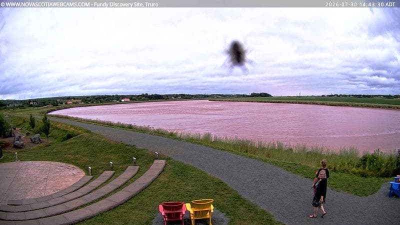 Fundy Discovery Site