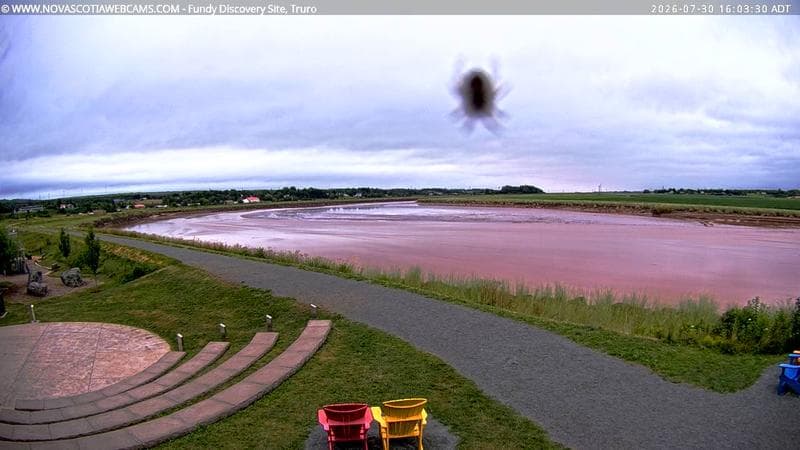 Fundy Discovery Site