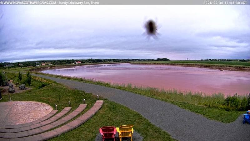 Fundy Discovery Site